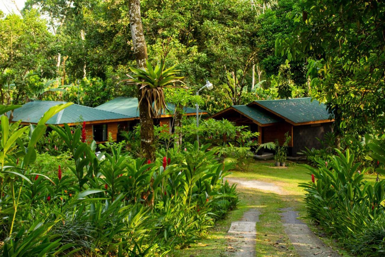 Eden Organic Farm & Bungalows La Fortuna Exterior photo