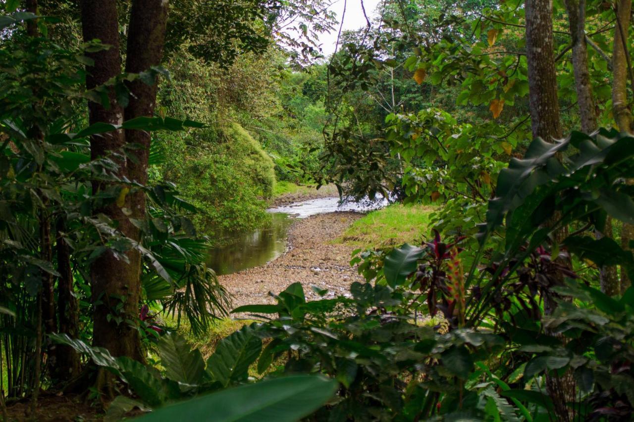 Eden Organic Farm & Bungalows La Fortuna Exterior photo