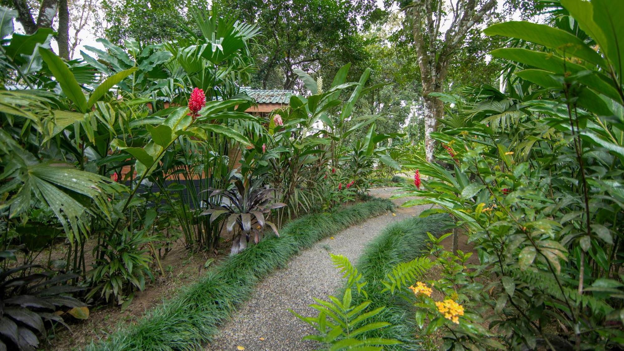 Eden Organic Farm & Bungalows La Fortuna Room photo